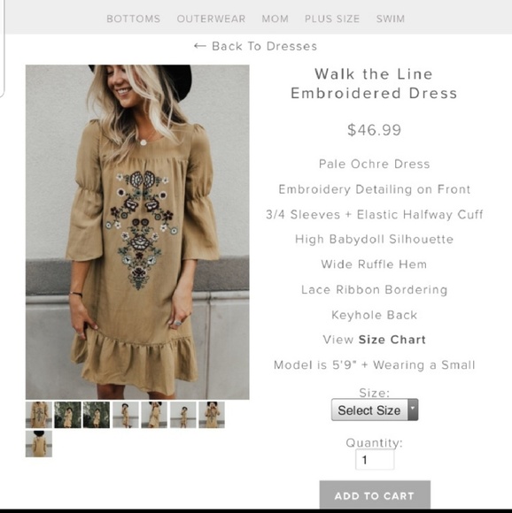 NEW Roolee Dress - Picture 4 of 8